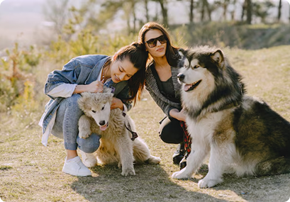 Understanding Your Dog’s Body Language
