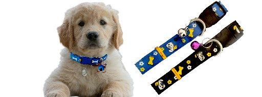 Adjustable Nylon Dog Collar with Bell – Stylish