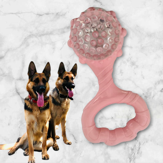 LED Tug & Chew Dog Toy