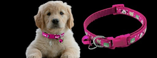 Adjustable Nylon Dog Collar with Bell – Stylish