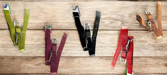 Black Dog Leash & Collar Combo – Daily Walks