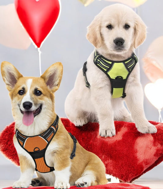 Reflective Pet Harness