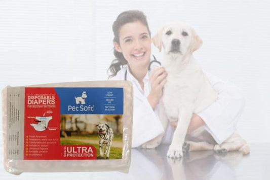 Soft & Absorbent Disposable Pet Diapers (Large, Pack of 10)