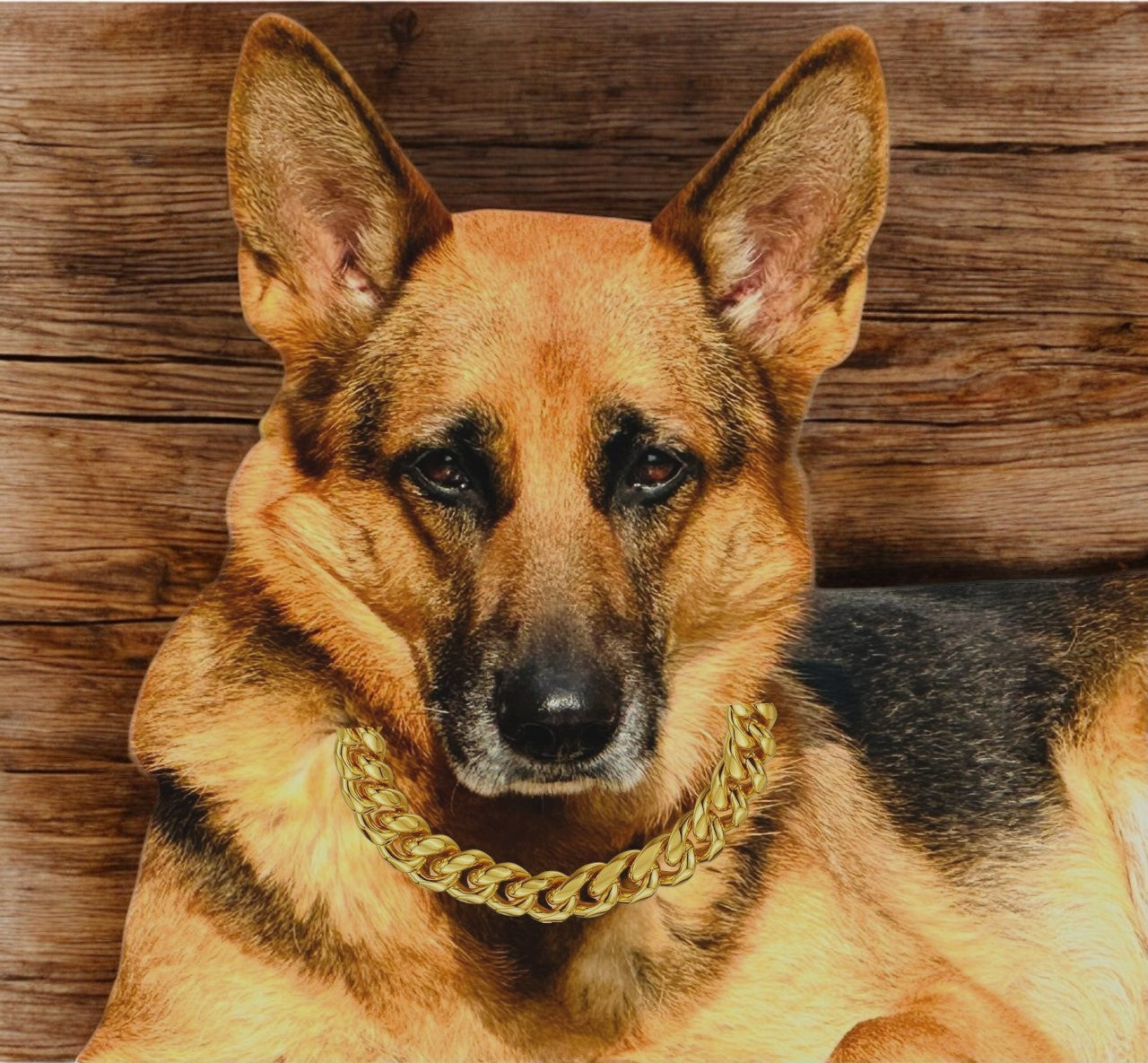 Strong & Stylish Diamond Cut Choke Chain