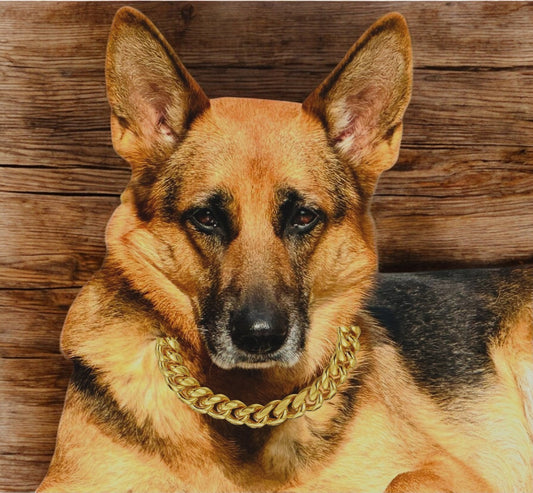 Strong & Stylish Diamond Cut Choke Chain