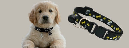 Adjustable Nylon Dog Collar with Bell – Stylish