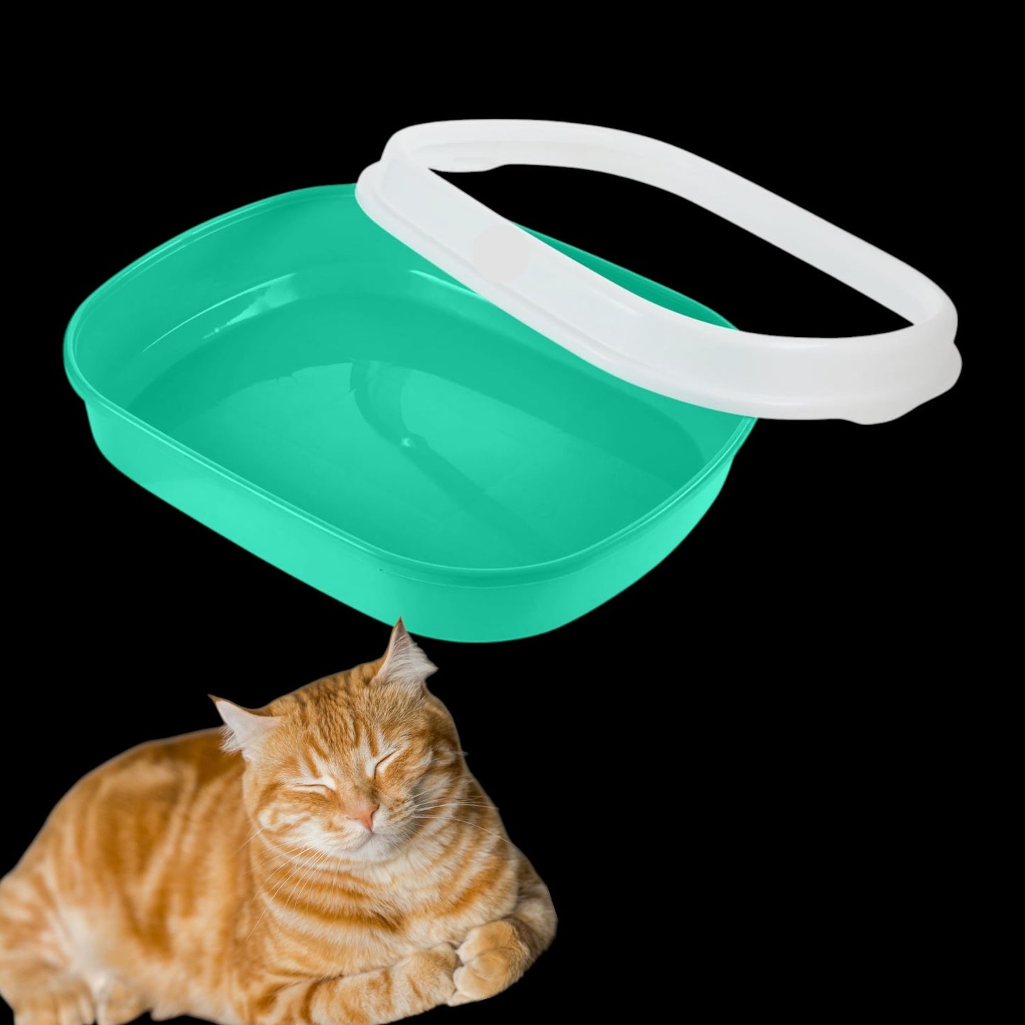 Spacious Cat Litter Tray with Cover & Scoop