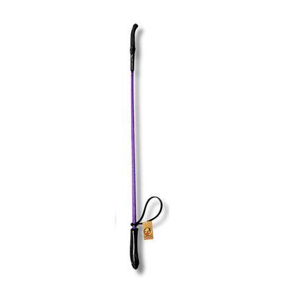 Lightweight Durable Pet Walking Stick (70 cm)