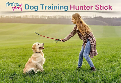 Lightweight Durable Pet Walking Stick (70 cm)