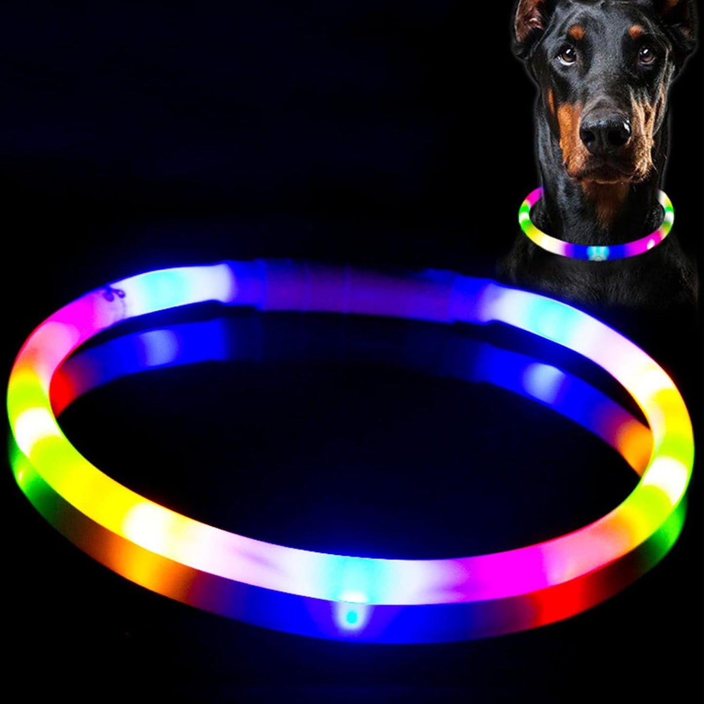 Rechargeable LED Dog Collar (Multi-Color Glow, USB Charging)