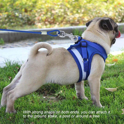 Durable 15ft Dog Tie-Out Cable (Blue)