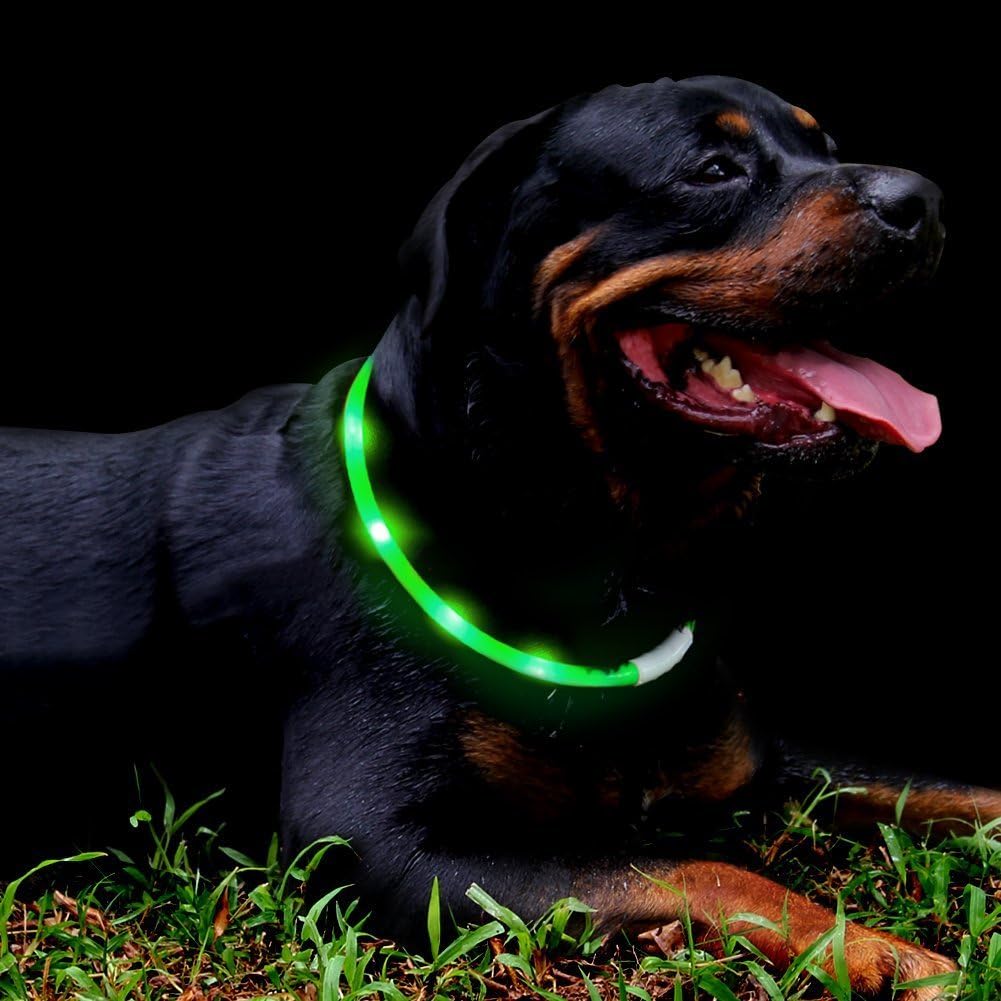 Rechargeable LED Dog Collar (Multi-Color Glow, USB Charging)