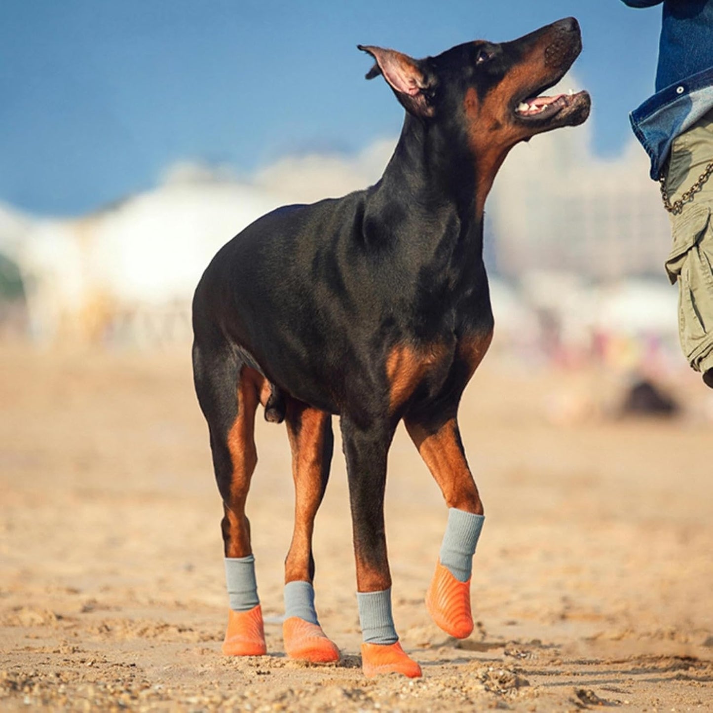 Waterproof Dog Shoes with Socks