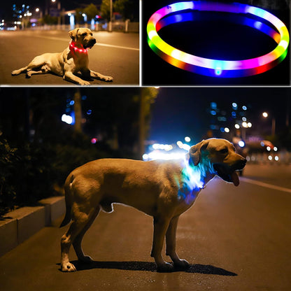 Rechargeable LED Dog Collar (Multi-Color Glow, USB Charging)