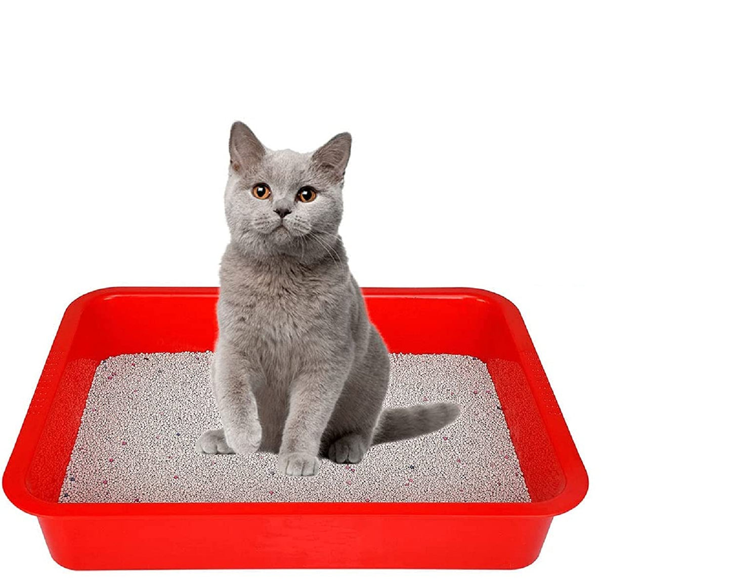 Spacious Cat Litter Tray with Cover & Scoop
