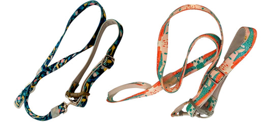 Dog Leash & Collar Combo