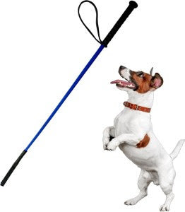 Lightweight Durable Pet Walking Stick (70 cm)